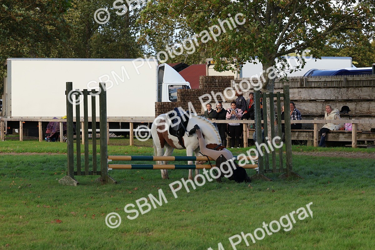 SBM_52574 - S13 - Pony Club Pony