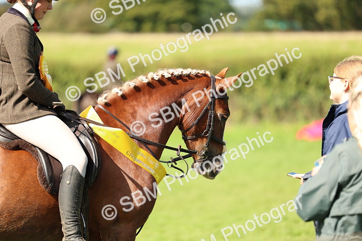 SBM_45479 - S33 - Working Hunter Pony