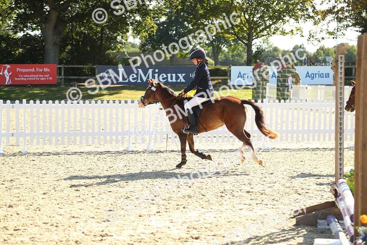 SBM_36075 - J5 - Junior Pony 50cm Championship