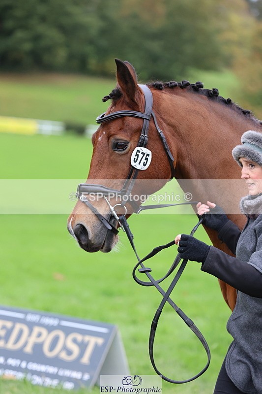 251026A-110017-23447 - G-575-Victoria.Woodland