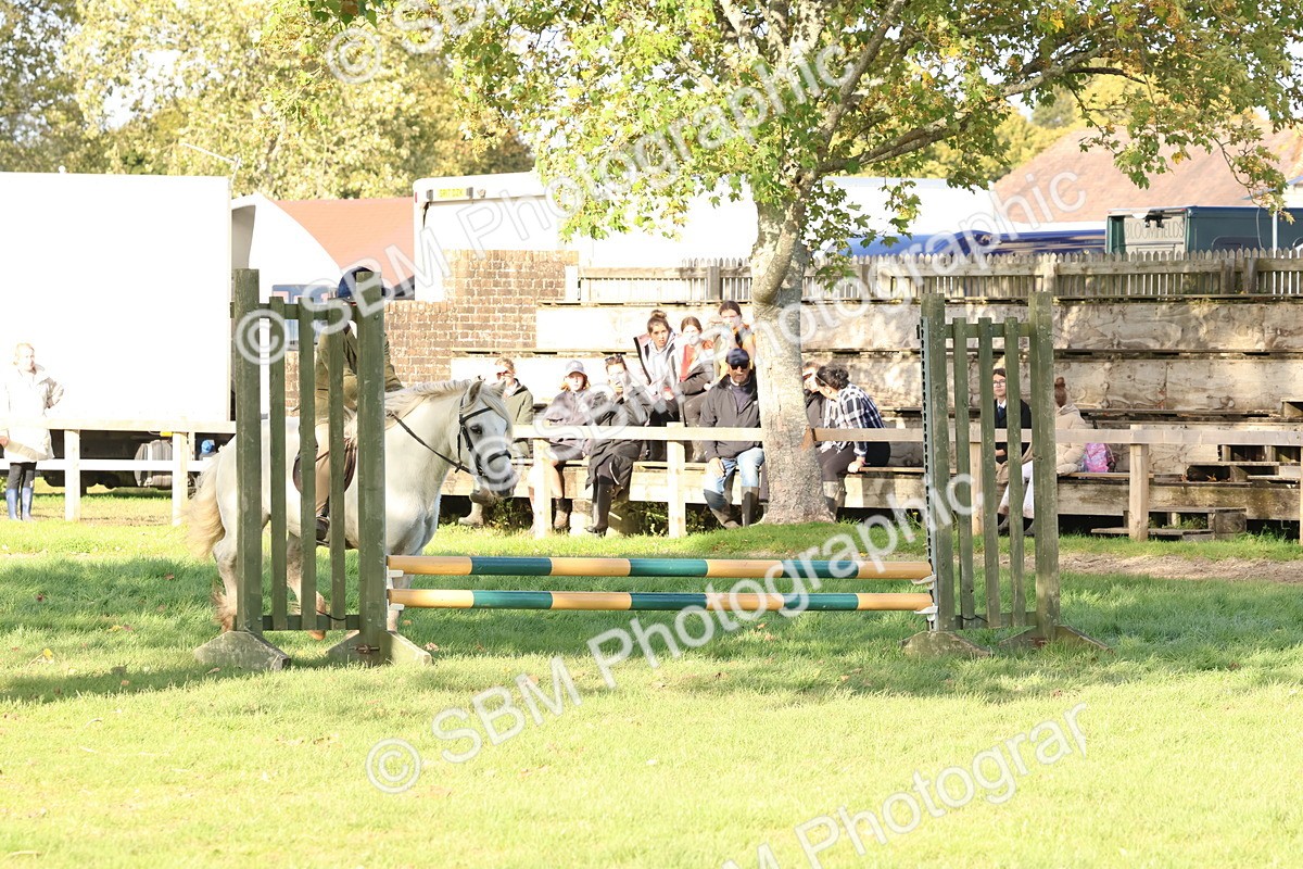 SBM_52593 - S13 - Pony Club Pony