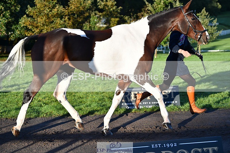 231022-085818-21480 - 669-FOXRIDGE.HIGH.JINX-Claire.Deuten-TrotUp+SJ