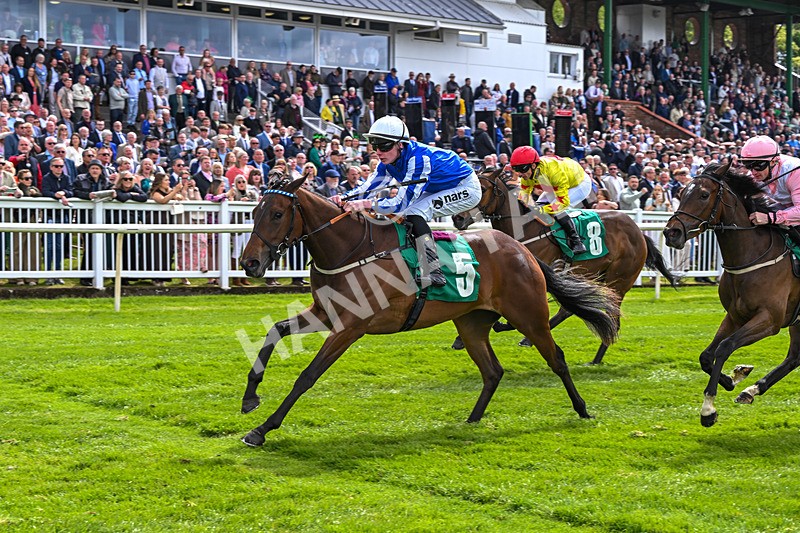 160526-Race 2-Kodi Bear Light-9321 - Race 2 2.23pm Marion Gibson Brown Memorial - Irish EBF Restricted Maiden Fillies' Stakes (Div II)