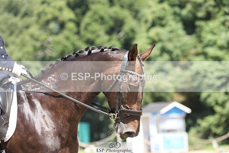 240719-142947-02322 - 266-Chloe_Cocks-Indulgence