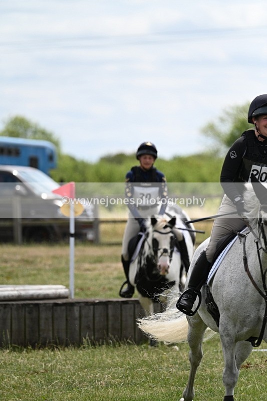 WJ7_5553 - 80cm XC Pairs