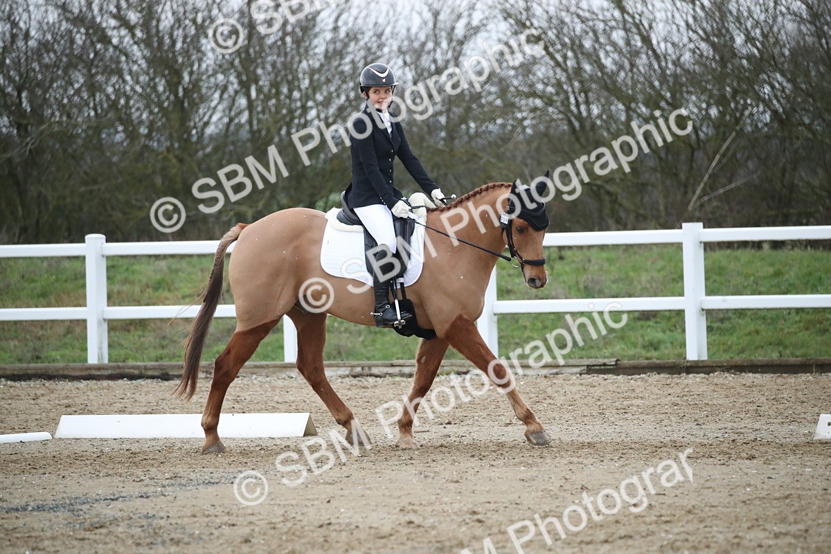 SBM_004768 - Novice 3