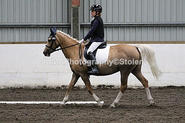 SIAL3668 - CAbin Dressage 5th july 2025