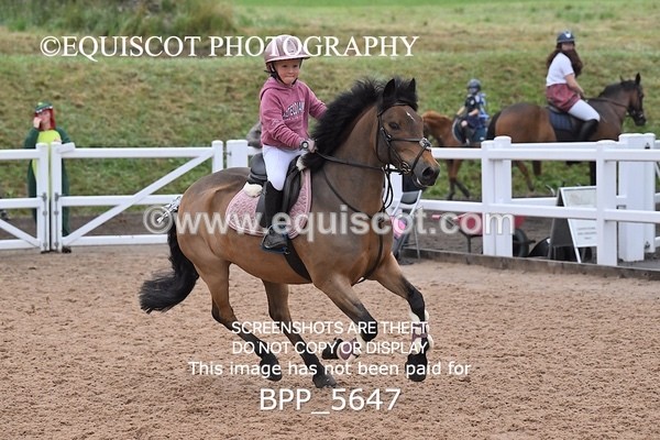 BPP_5647
