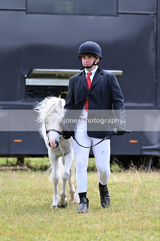 WJ7_6512 - Class 5 Handsome Gelding in hand
