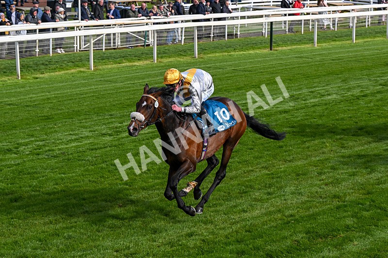 140526-Race 7-Arc Ole Ole-0423 - Race 7 5.15pm Frank Whittle Partnership Handicap