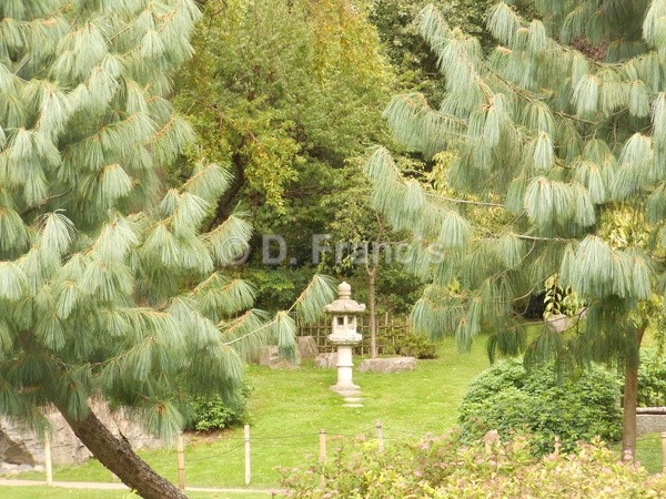 Image 3 - Holland Park