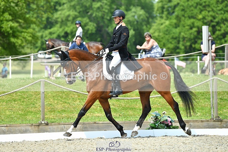 230525-113022-04036 - 201-JAEGER_MASTER-Tom_Woodward-WEDTrotUp+DR