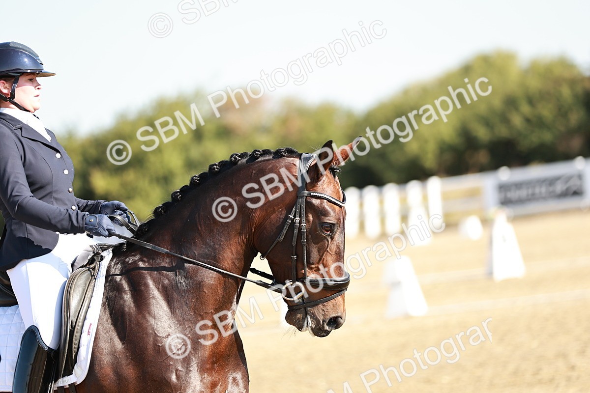 SBM_016889