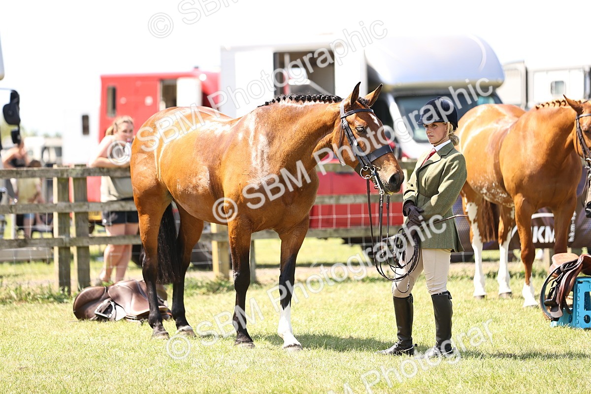 SBM_15187 - Class 79-80 - LIHS BSHA Rising Star Ridden Hunter