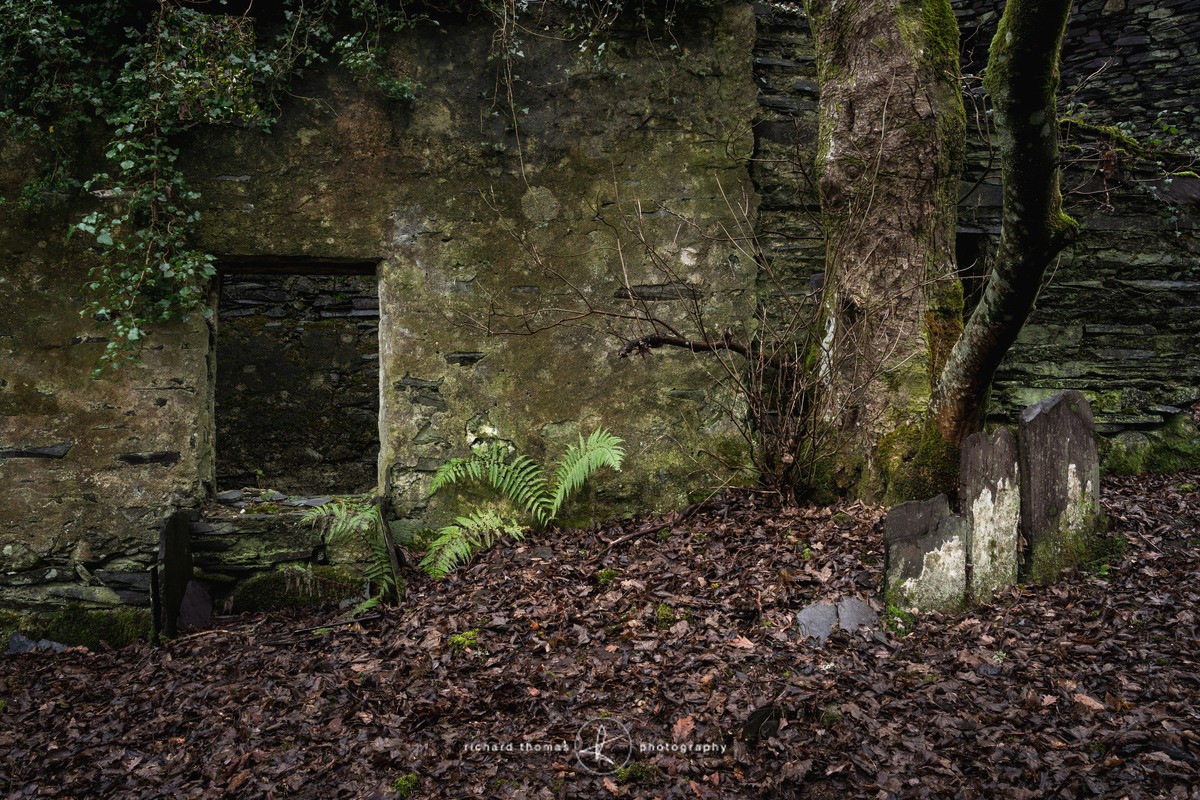 Remembrance - Quarry