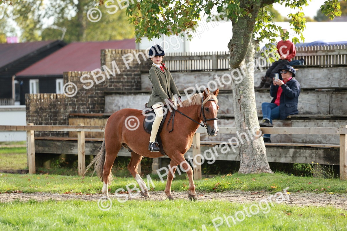 SBM_56363 - S39 - Starters In Hand Showing