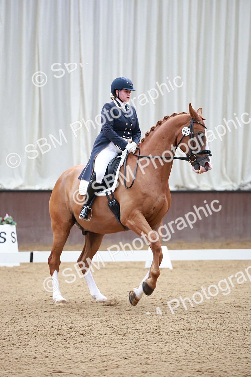 SBM_008708 - Class 14 - FEI PSG - 9.30-10.30