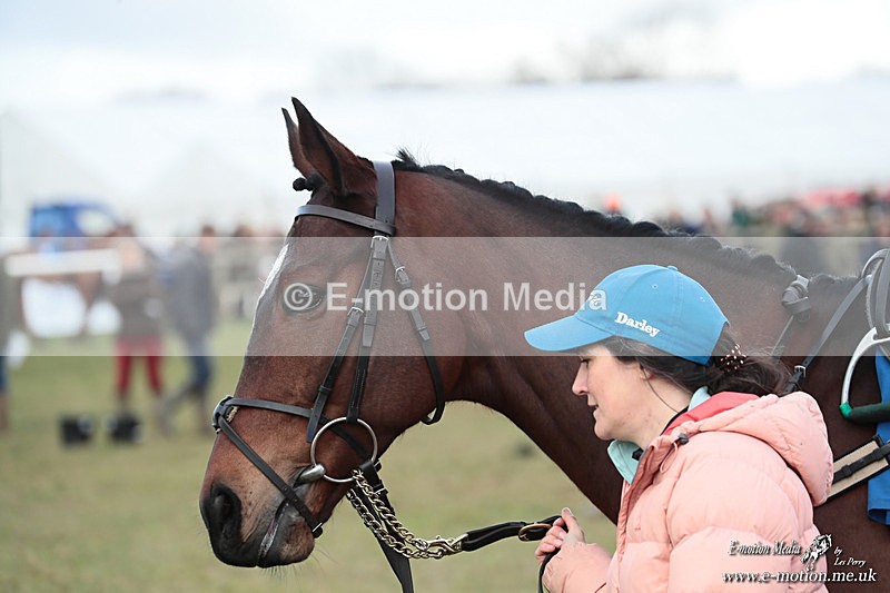 PtP 250126 32 - Cocklebarrow Races Point-to-Point 25/01/26