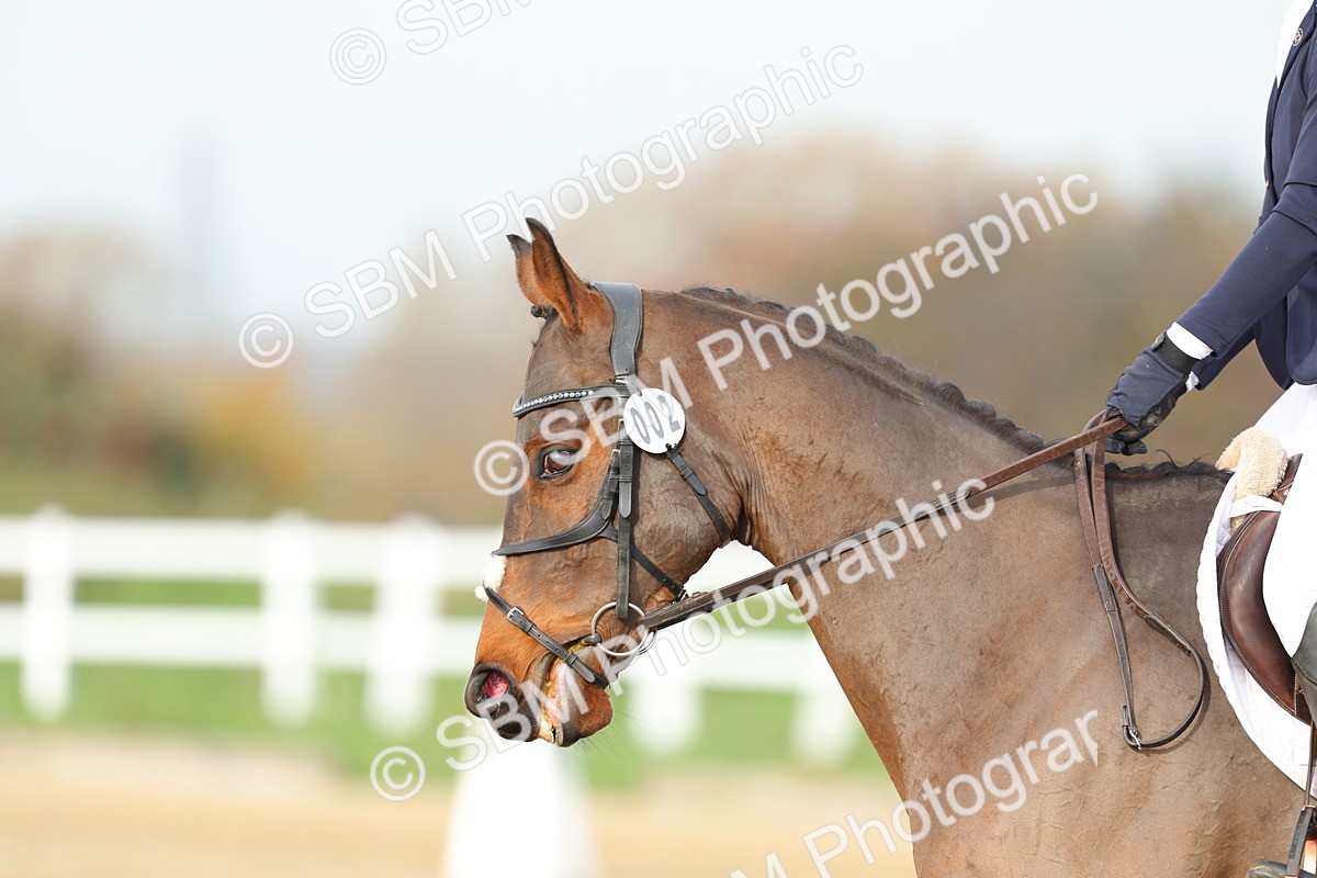 SBM_003293 - Class 3 - Prelim 2