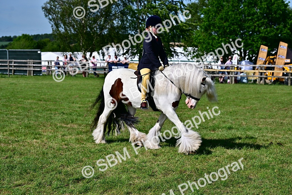 SBM_09400 - Class 63-65 - Traditional Gypsy Cobs In Hand & Ridden