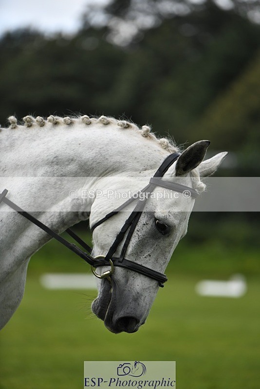 230826-123938-19505 - PC 70 Start to 1pm