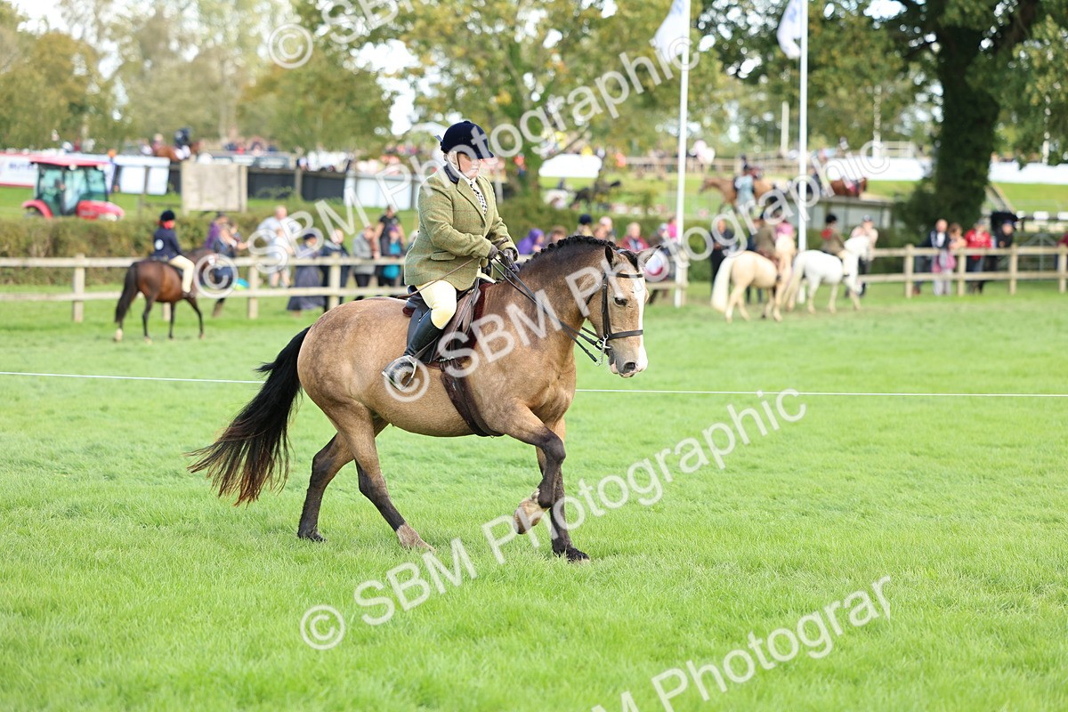 SBM_45542 - S33 - Working Hunter Pony