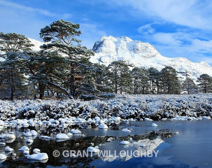 Mighty Slioch and river Grudie - Scots Pines