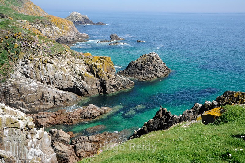  - Saltee Islands Birdlife