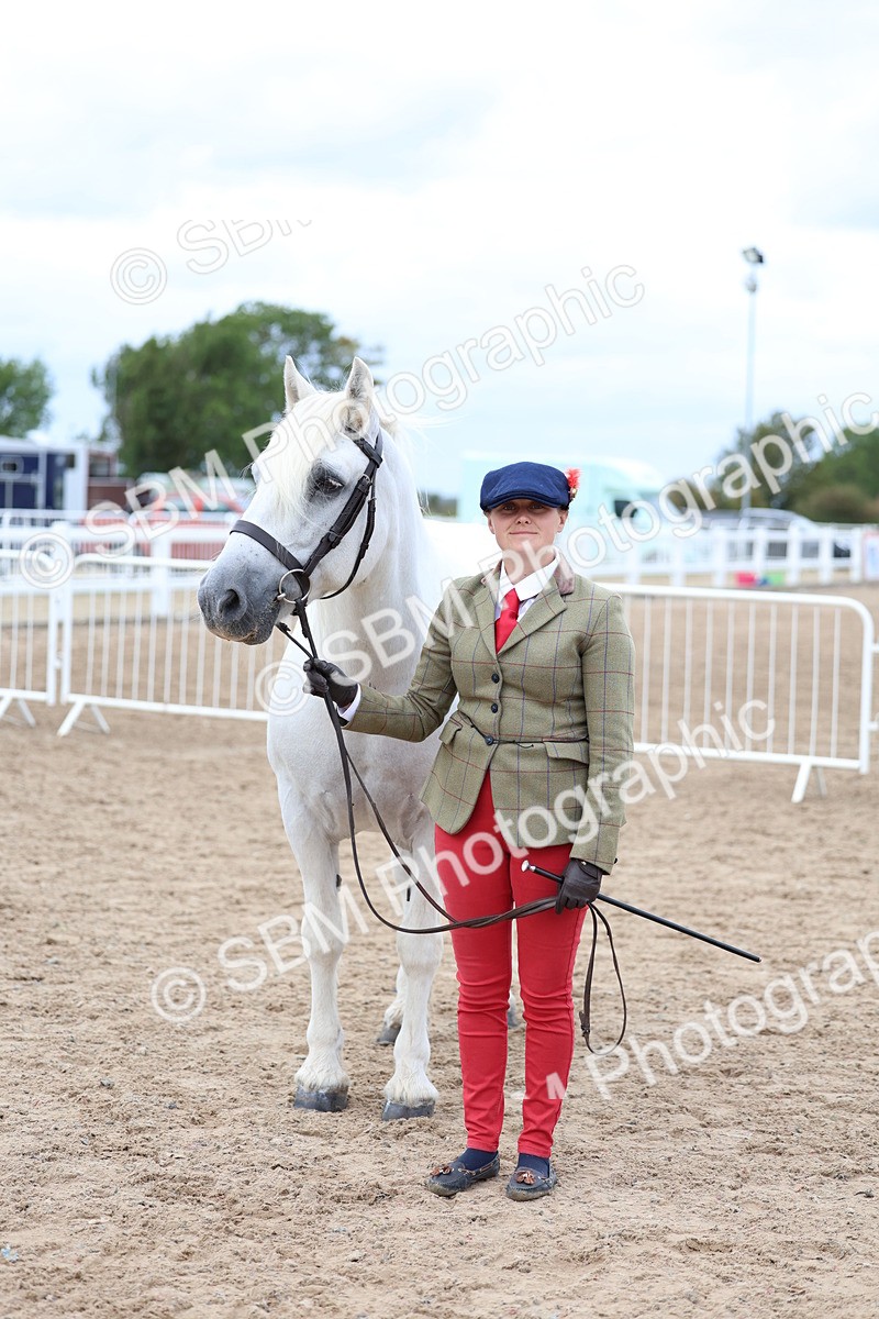 SBM_05908 - Class 29 - IH Veteran Pony