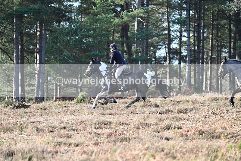 WJ7_7089 - Line 3 (no line 4 or 5)