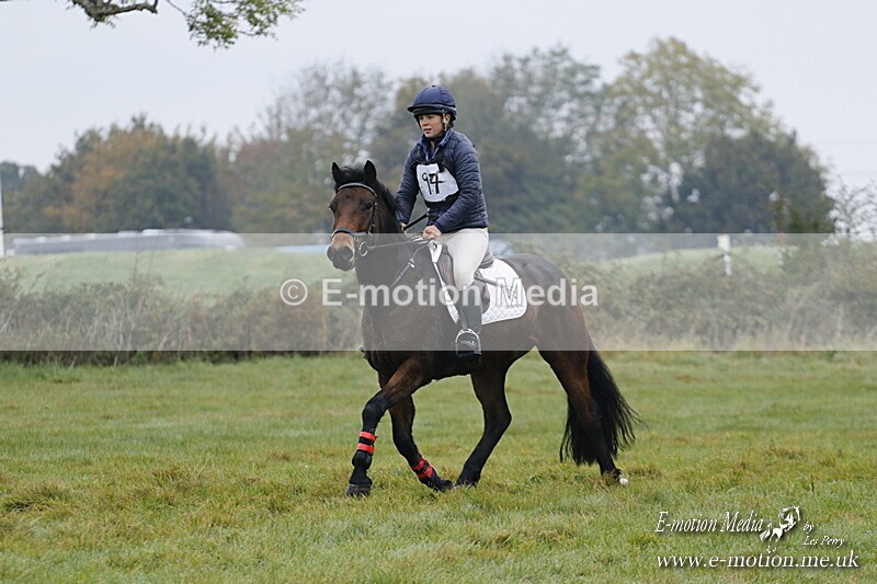 WWHT 181020 WWHT 181020 206 - WWEC Novice Restricted (0.80m) 18/10/20