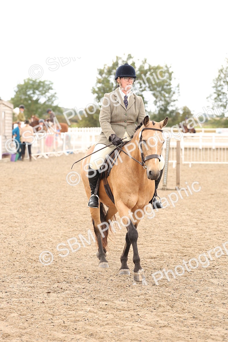 SBM_06739 - Class 58a -  Style & Performance - 70cm (15-19)