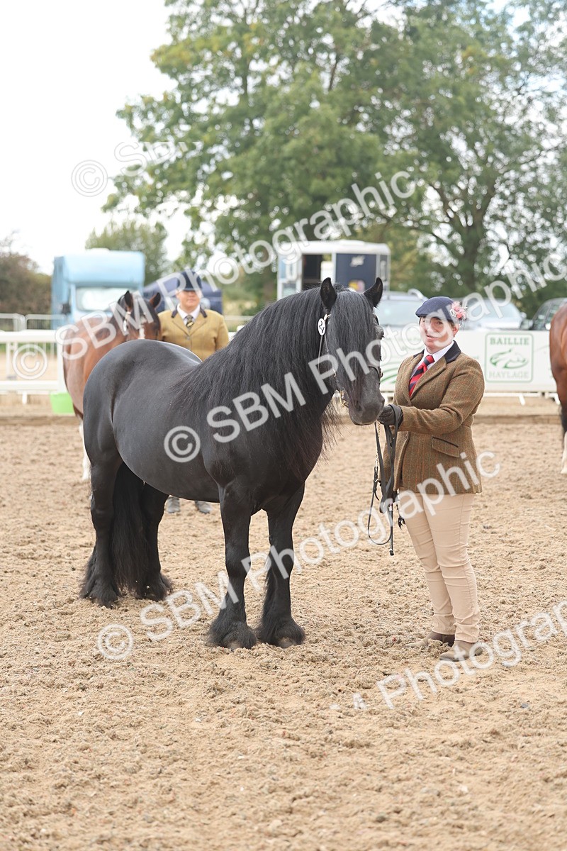 SBM_03239 - Class 16 - IH M&M Wildcard