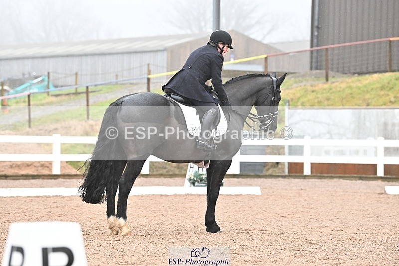 250215-103555-03064 - 244-Suzanne.Clark-Ballinamurra.Billy