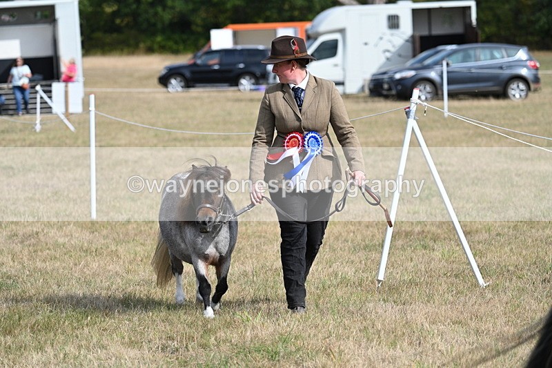 WJ7_8032 - In-hand Championship