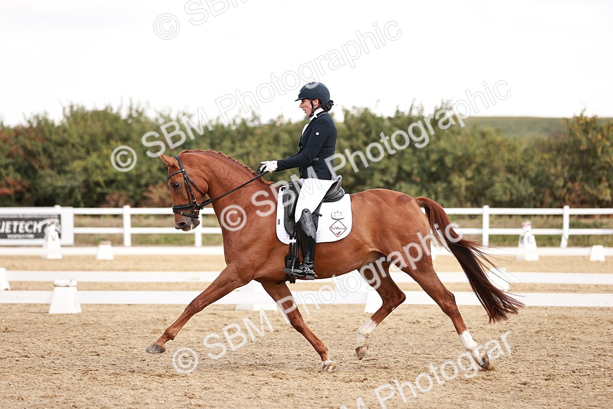 SBM_017681 - Class 11 - Advanced Medium 6