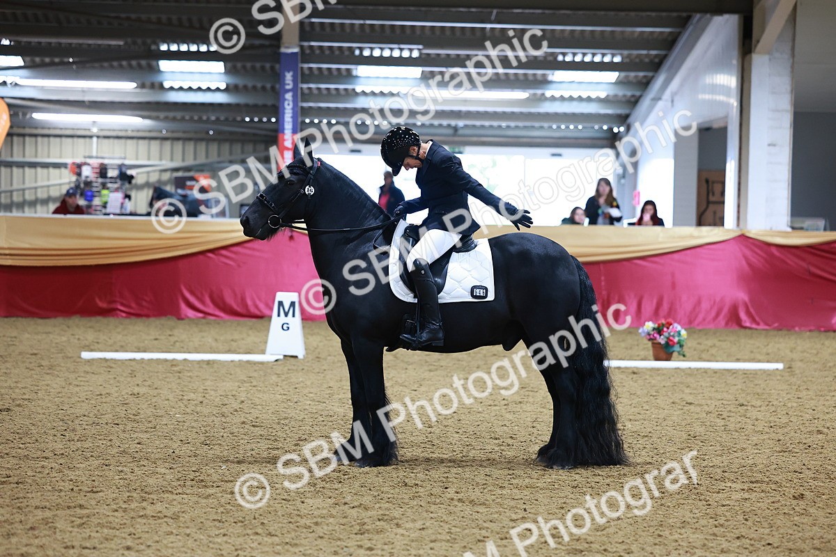 SBM_06608 - Class 61 - Dressage to Music