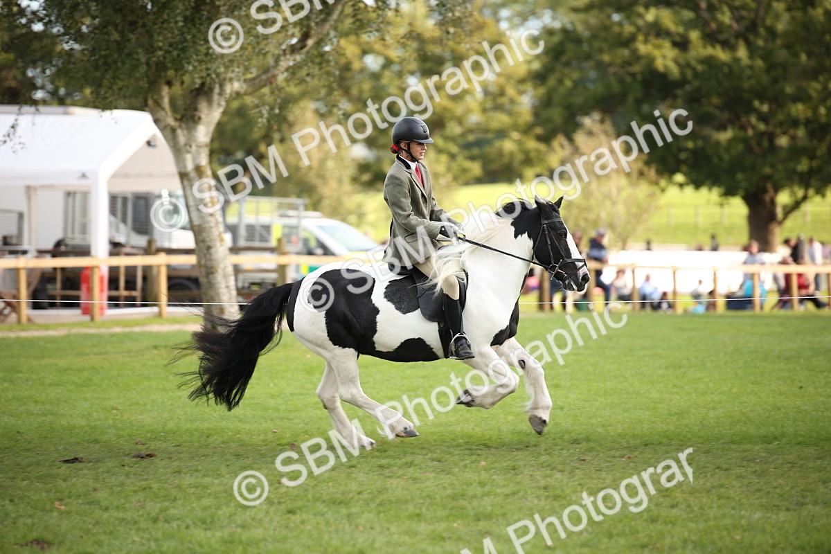 SBM_54255 - S27 - Mature Veteran - Ridden