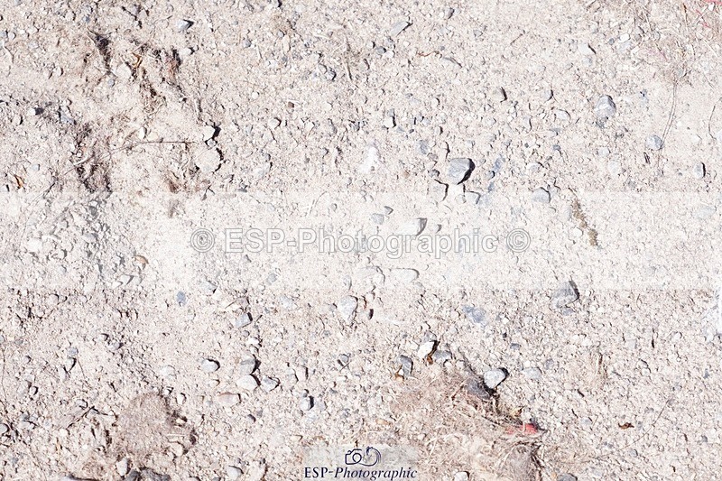 250503-141004-01552 - Cls 28 Springboard