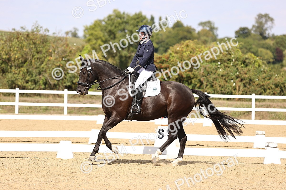 SBM_015047 - Class 6 - Elementary 5