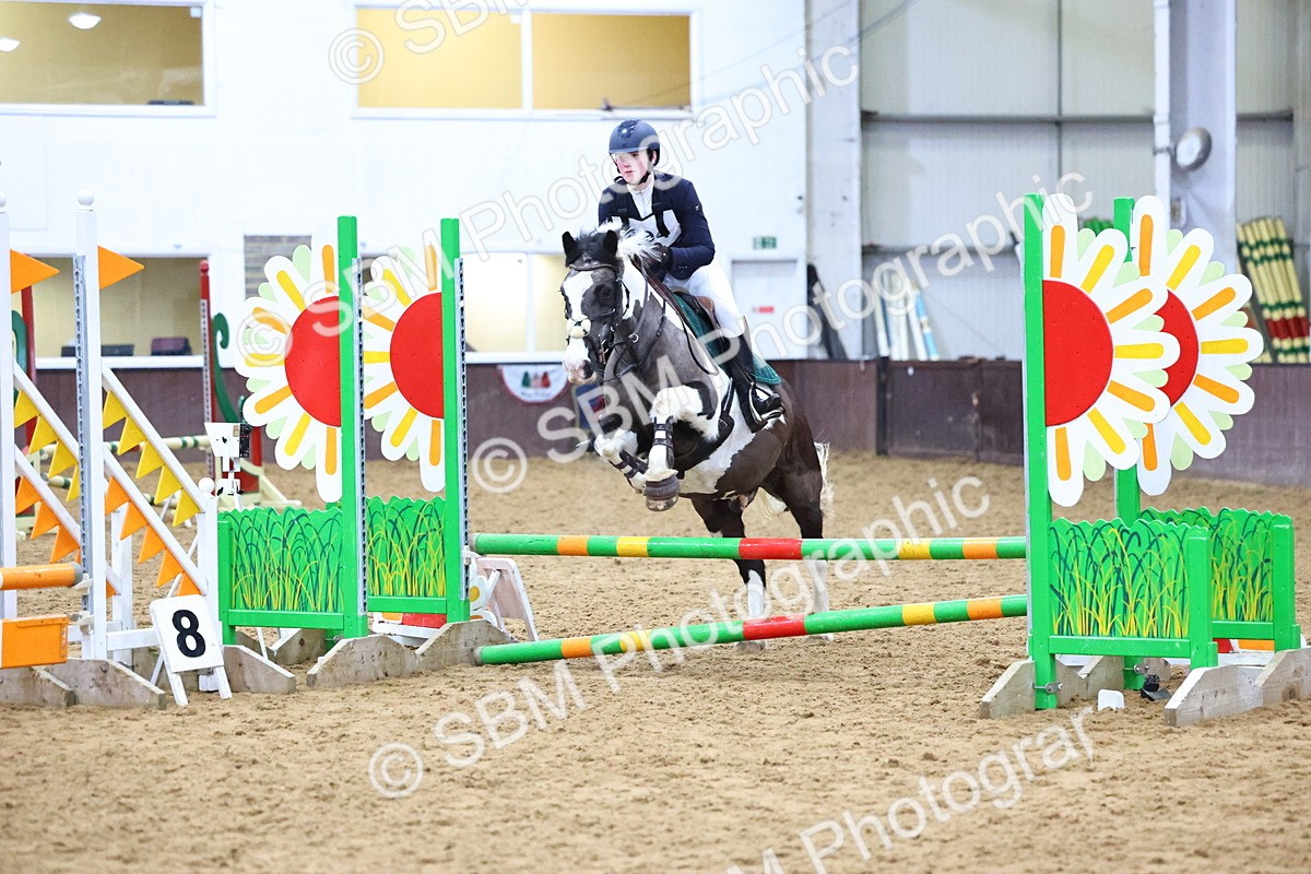 SBM_001330 - Class 3 - Christmas Tree Stakes - 60cm