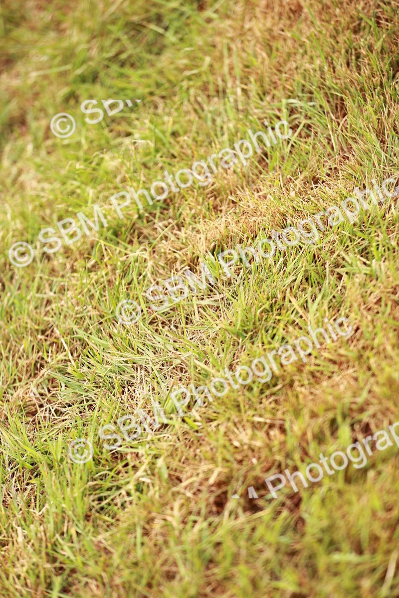 SBM_04542 - Class 5-8 - BSPA In hand