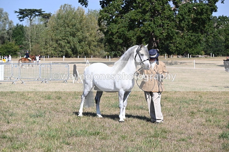 WJ6_4253 - Class 16 Condition & Turn Out