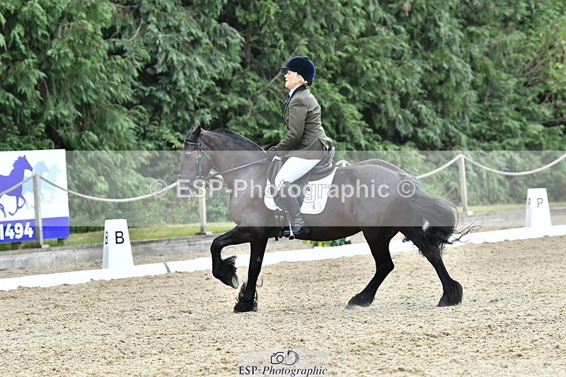 260801A-122320-03913 - Prelim Bronze Break - End
