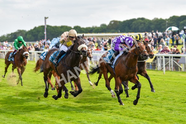 170523-Race 5-Dark Thirty-8881 - Race 5 4.10pm Conundrum HR Consulting Handicap