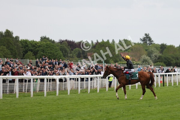 yr13052022r4-65 - Race 4 3.35pm The Paddy Power Yorkshire Cup (British Champions Series Race)