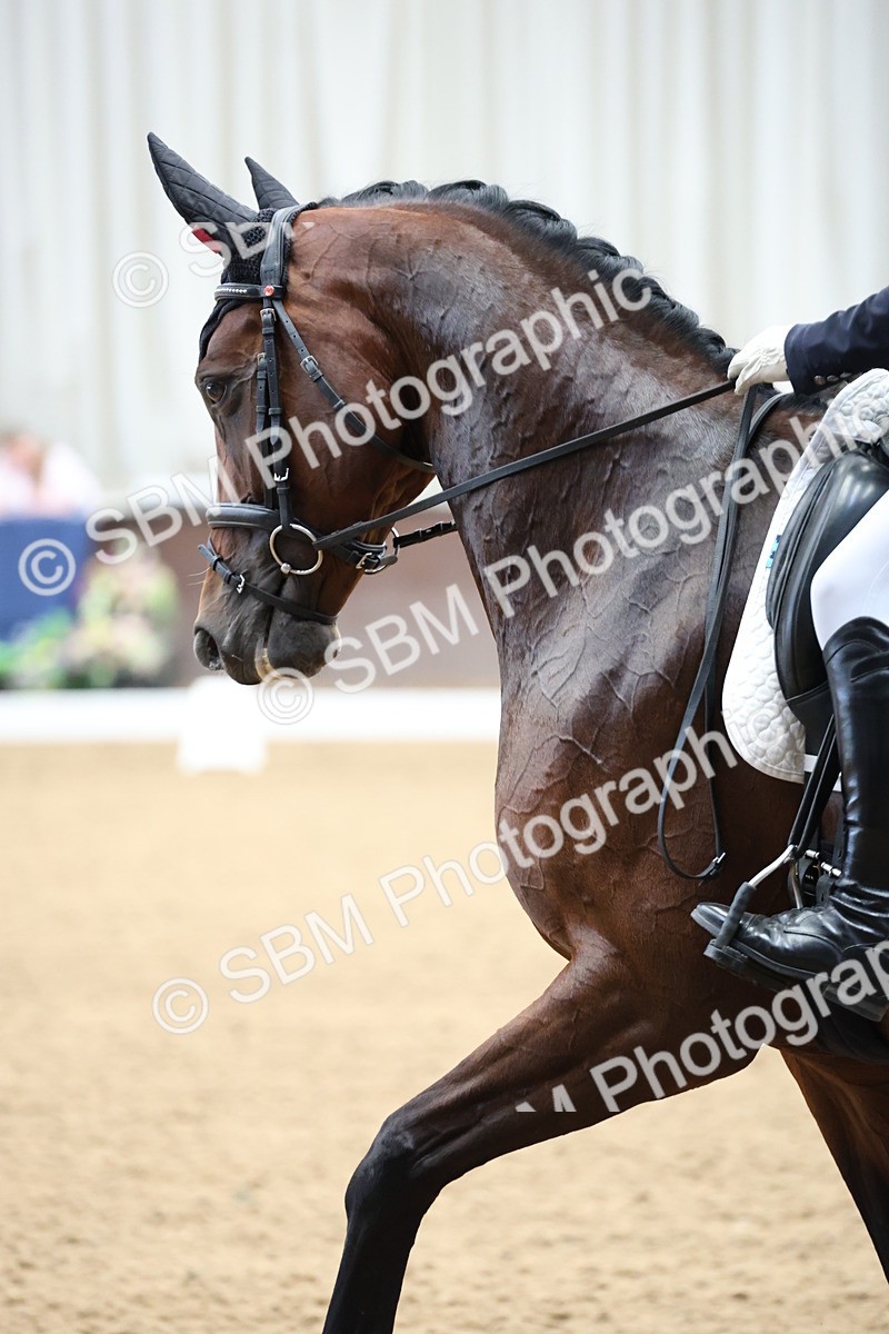 SBM_003994 - Class 8 - Advanced Medium 6 Silver