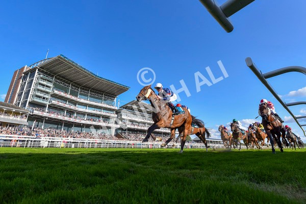 240824-Race 7-Sir Busker-4674 - Race 7 5.20pm Sky Bet Finale Handicap