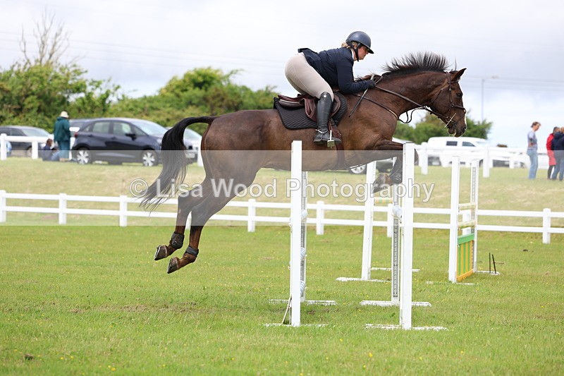 3E7A7067 - Class 12: Senior Foxhunter/1.20 open