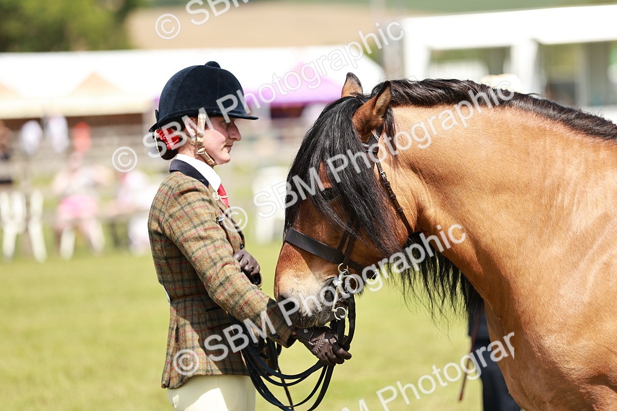 SBM_07154 - Class 26-30 - Mountain and Moorland Ridden